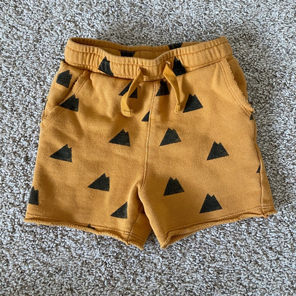 Art Class toddler boy triangle 12 month shorts